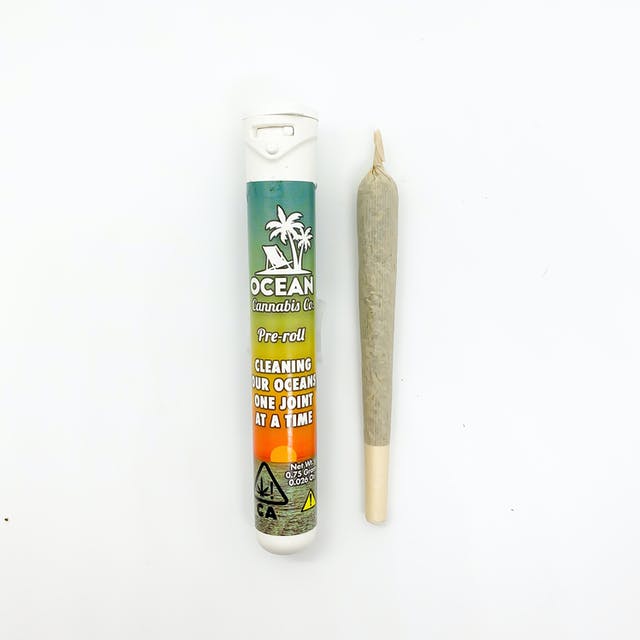 CREME BRULEE CLEMENTINE - .8G