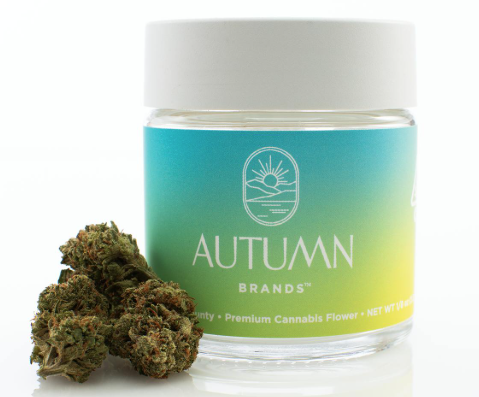 Autumn Brands: Blueberry Pancakes