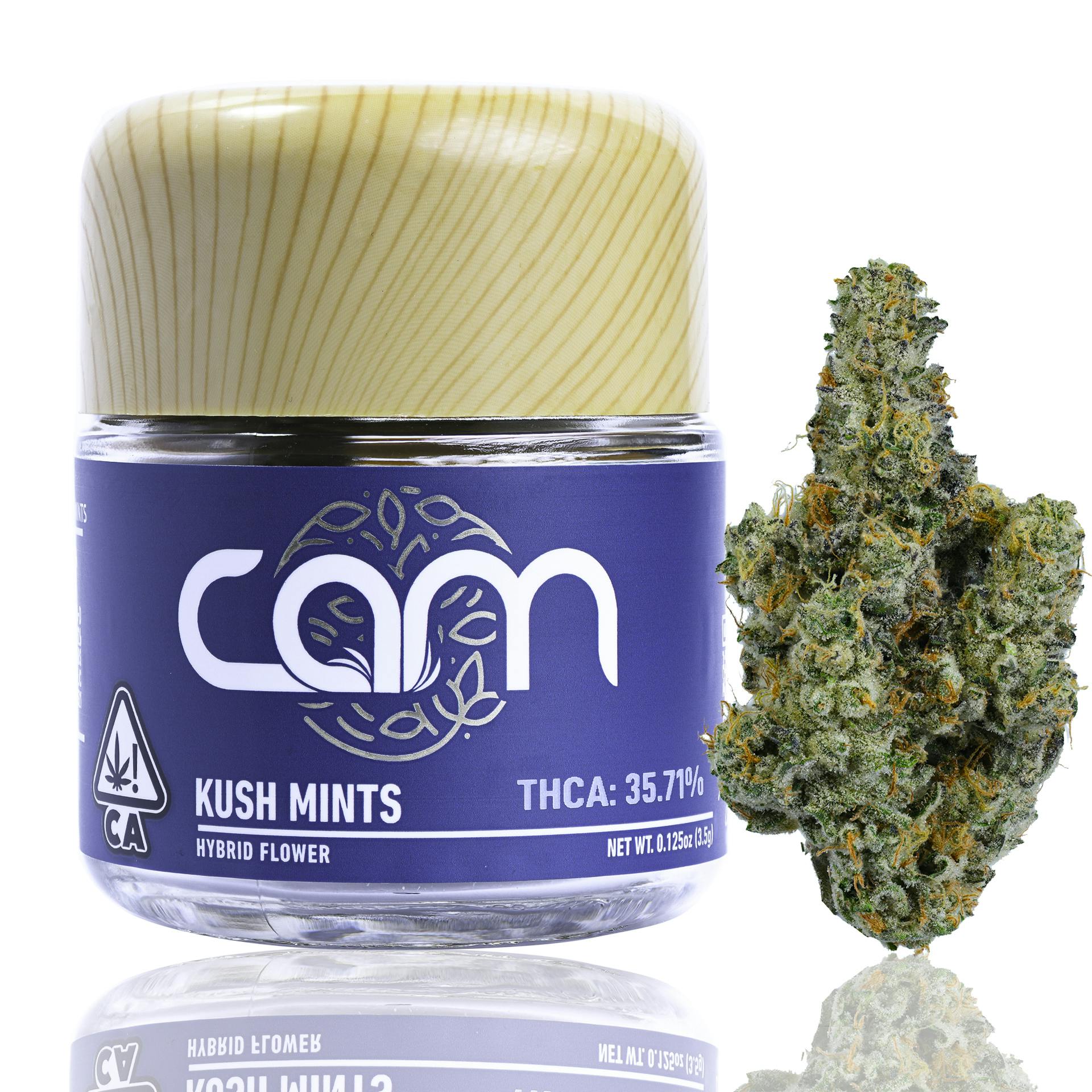 CAM: Kush Mints