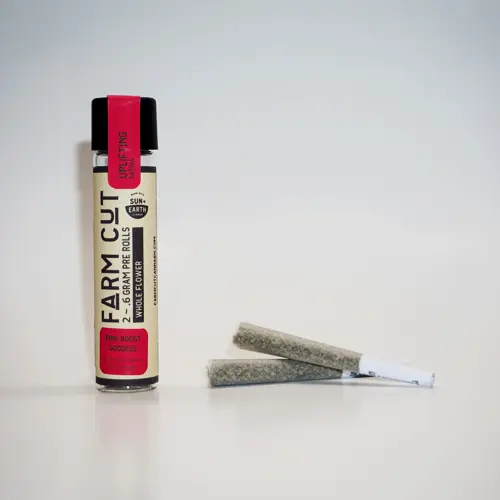 Blue Skunk 2-Pack Pre-Rolls - 1g