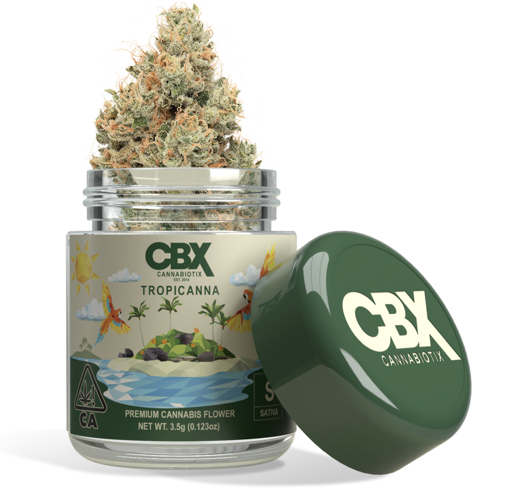 CANNABIOTIX | CBX — TROPICANNA -