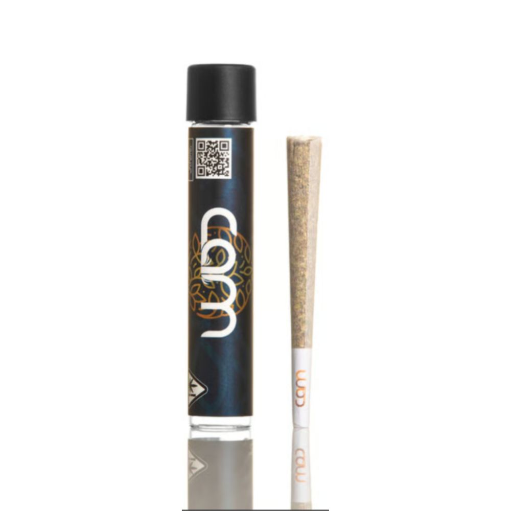 CAM - GMotion | 1g Preroll
