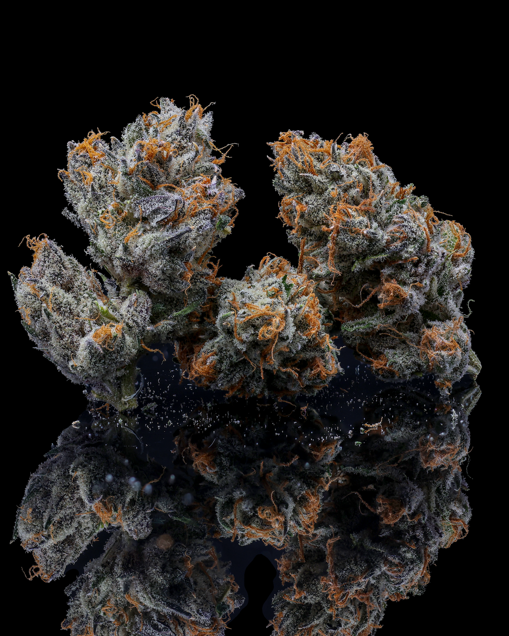 Blueberry Blizzard - 3.5 g