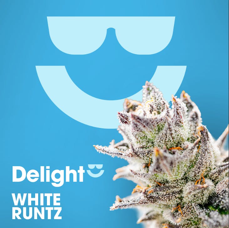 DELIGHT | WHITE RUNTZ | 3.5G FLOWER - 1/8oz in Cliffwood