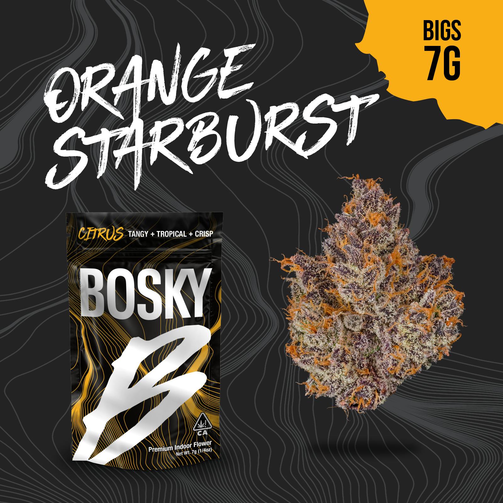 Bosky Genetics: Orange Bubba X Fire