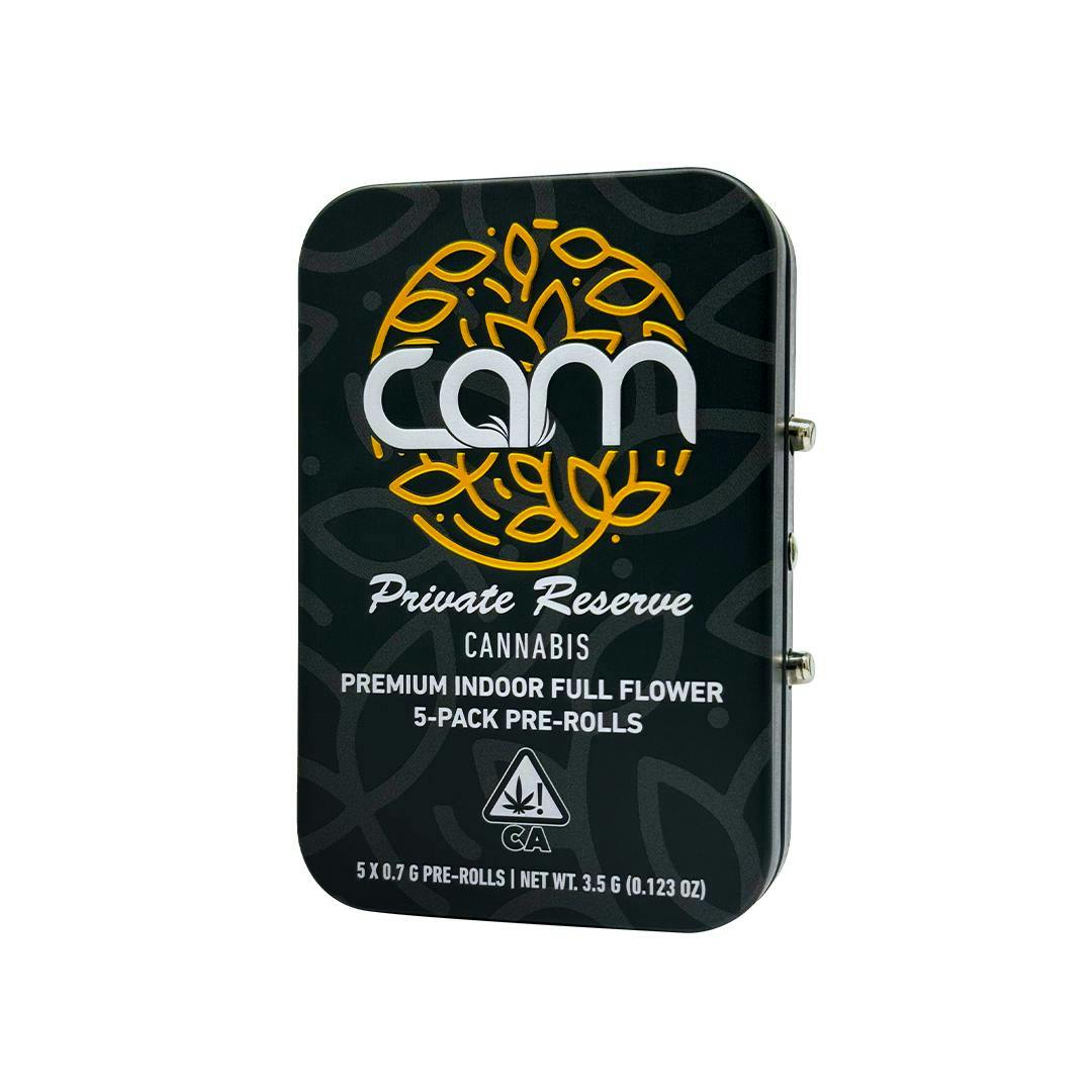 Angel Cam: Brain Dead