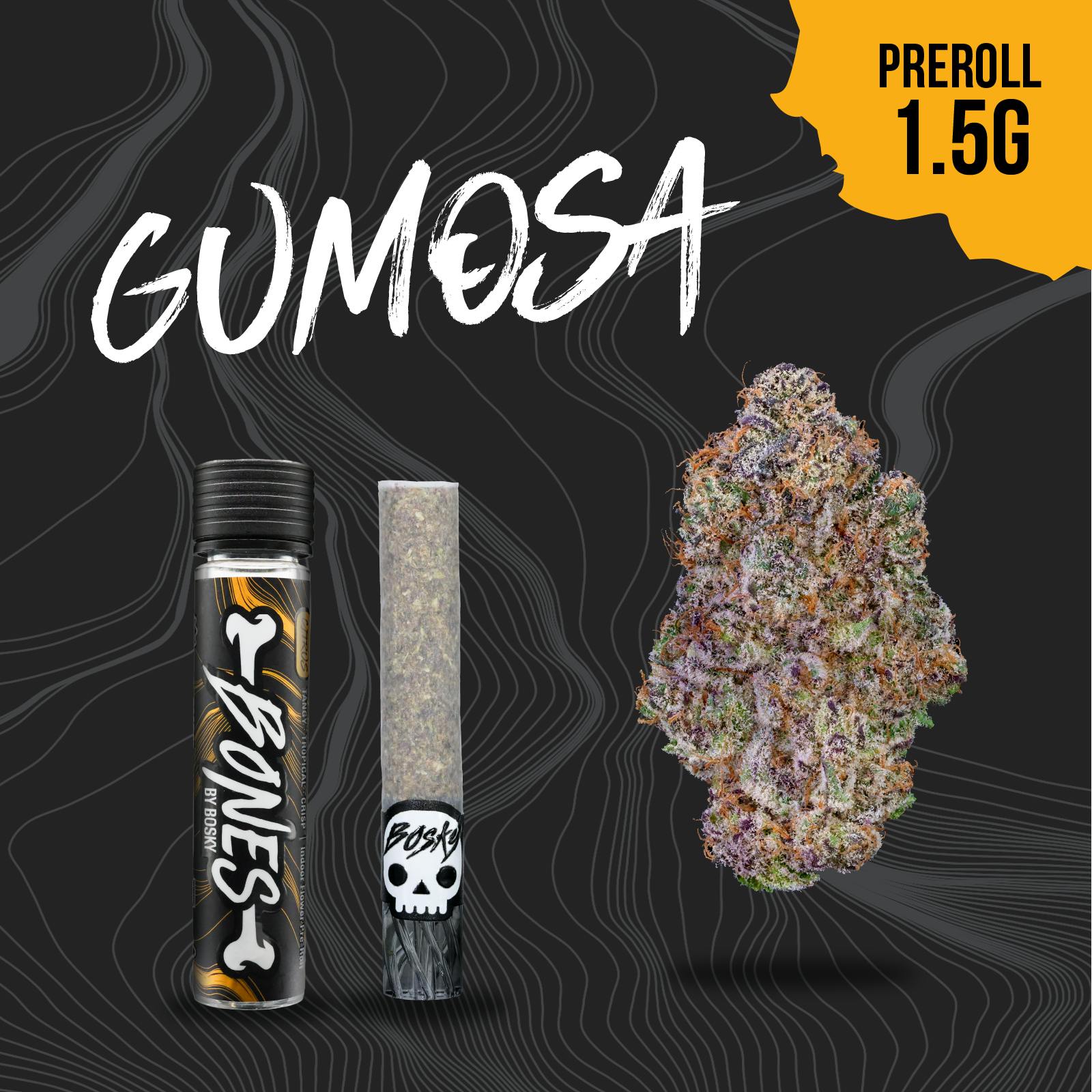 Bosky Genetics: Gumosa Bones