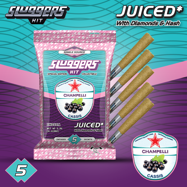 Sluggers Official Retail: Champelli Cassis