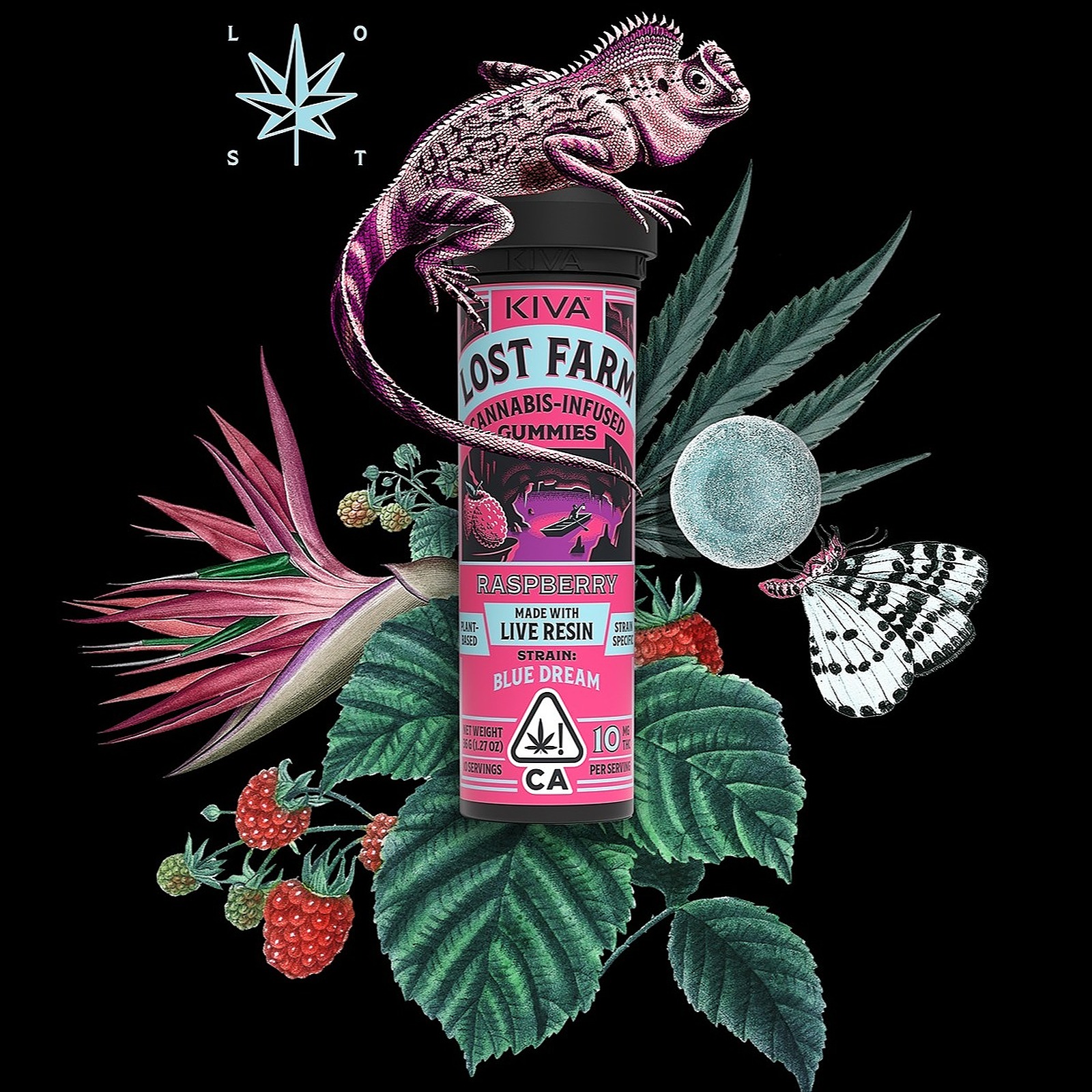 Lost Farm: Raspberry Wedding Cake