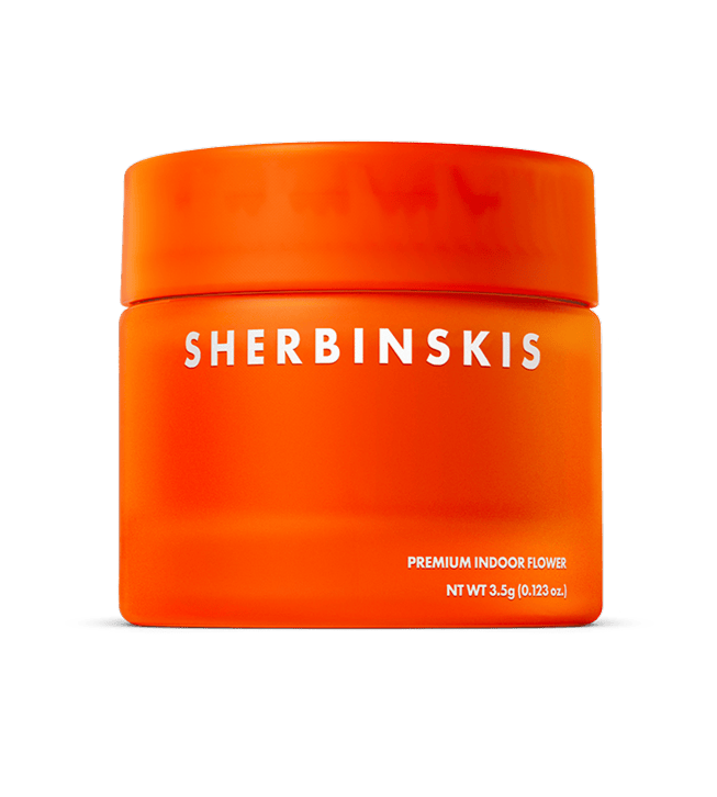 Sherbinskis: Squid Ink