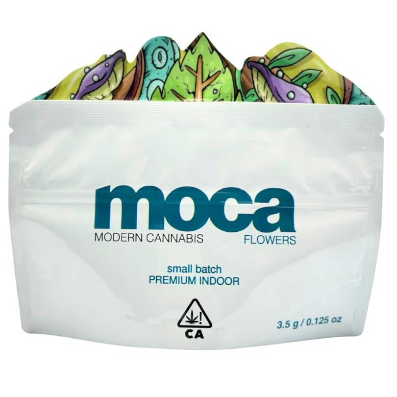 MOCA: Ice Cream Man