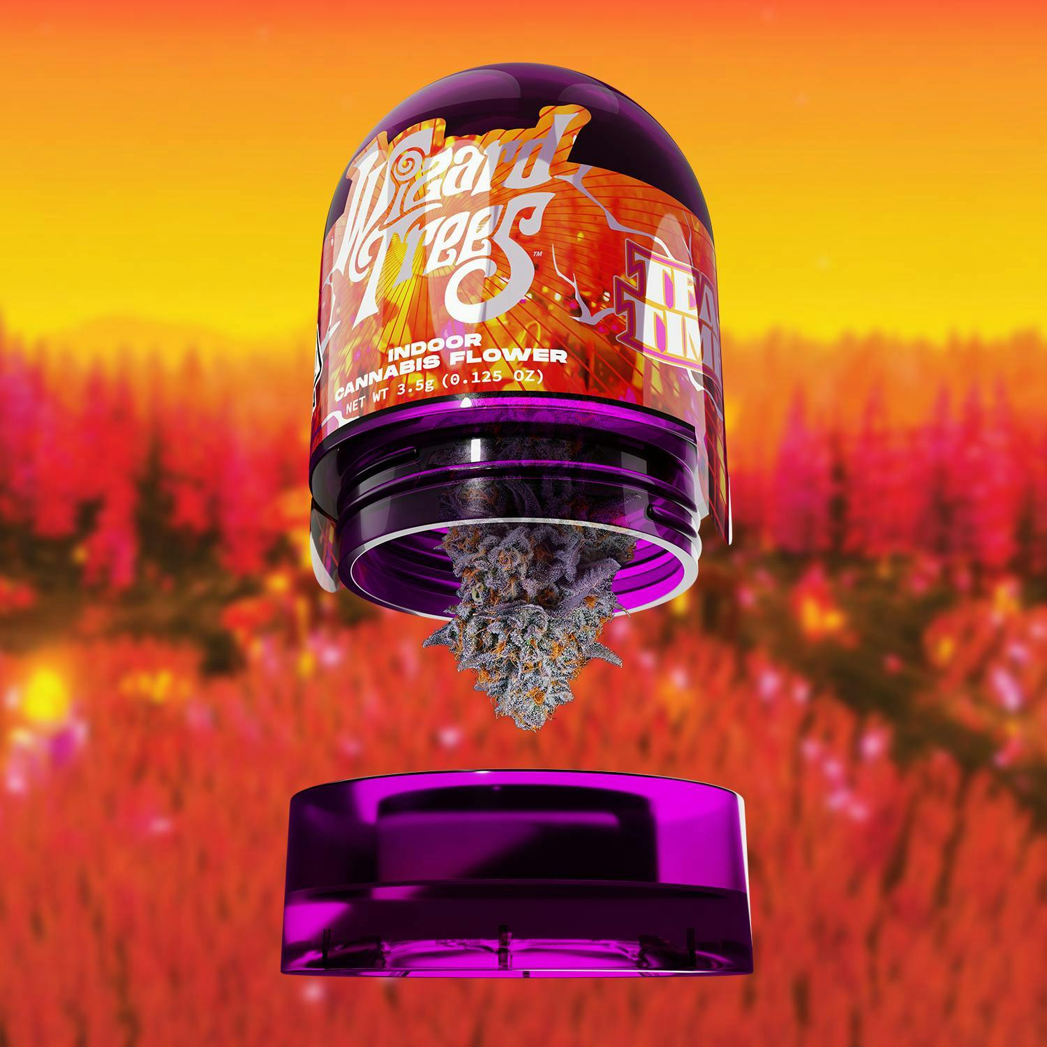 WIZARD TREES: Tea Party Jar
