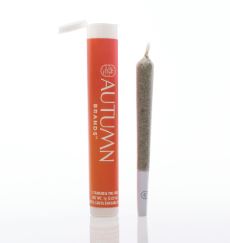 Funky Flower Child Preroll
