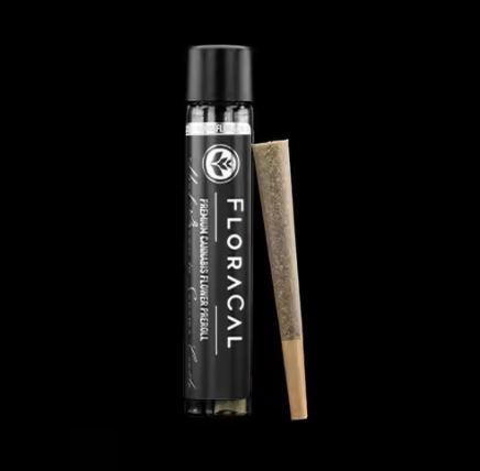 Horchata Preroll