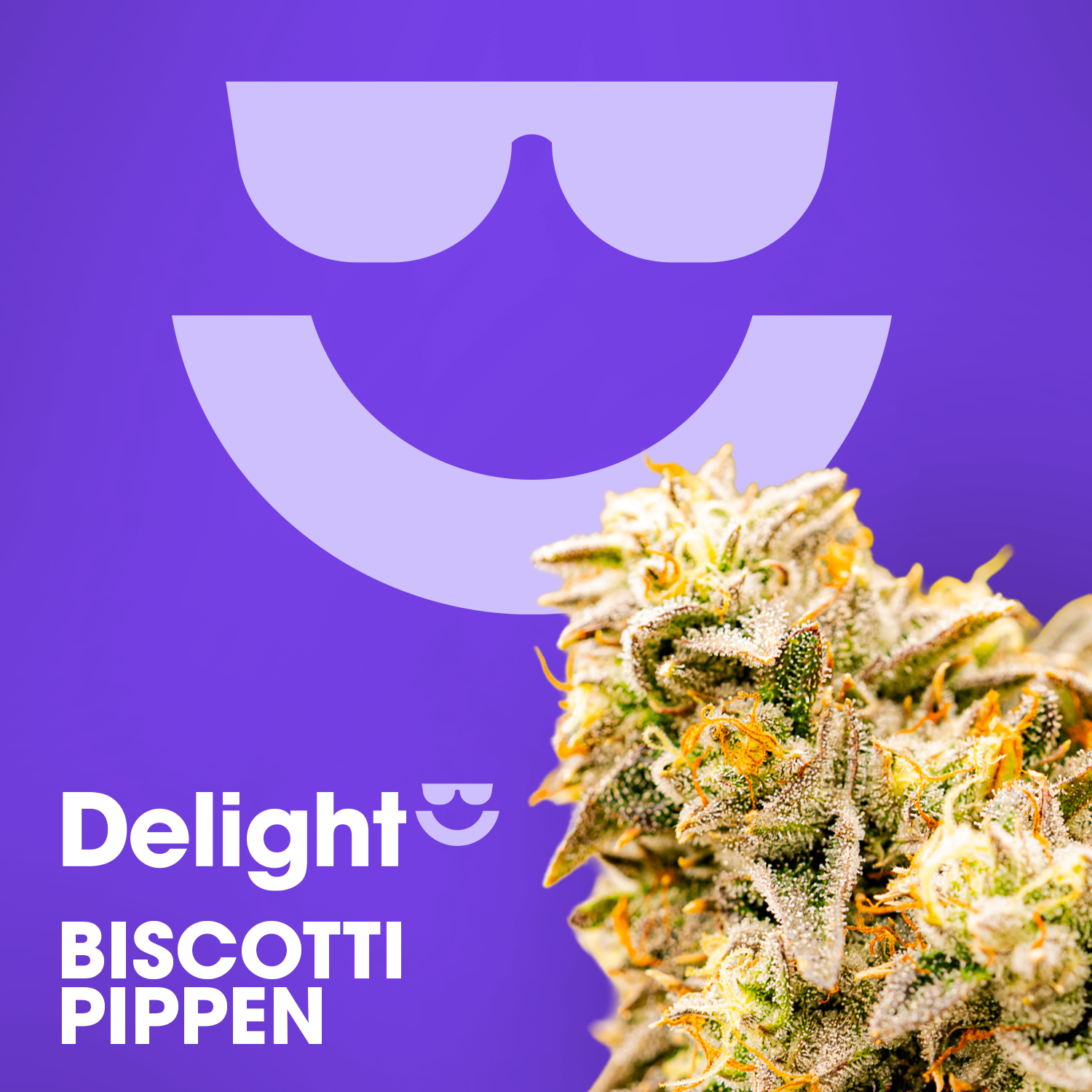 Biscotti Pippen - 1g 1pk - Preroll