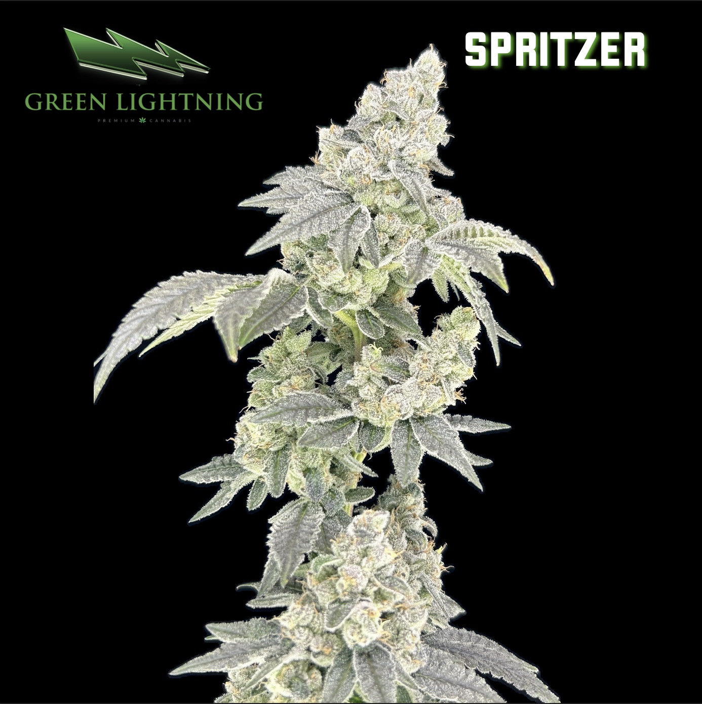 Spritzer - Small Buds - 7g
