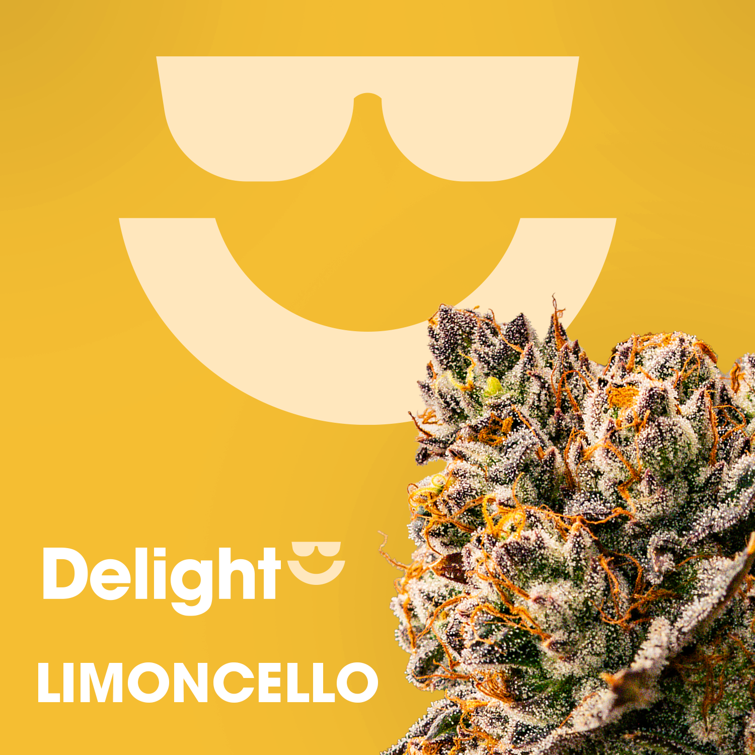 Limoncello - 7g - Small Buds