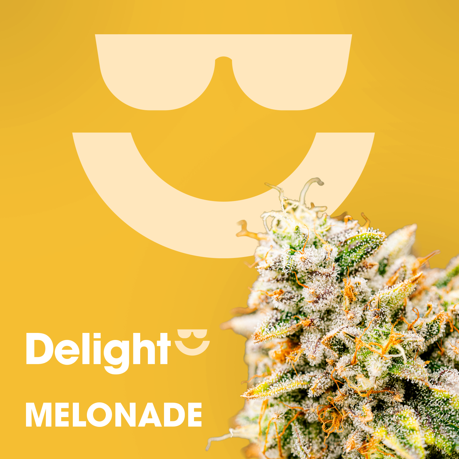 Melonade - 3.5g