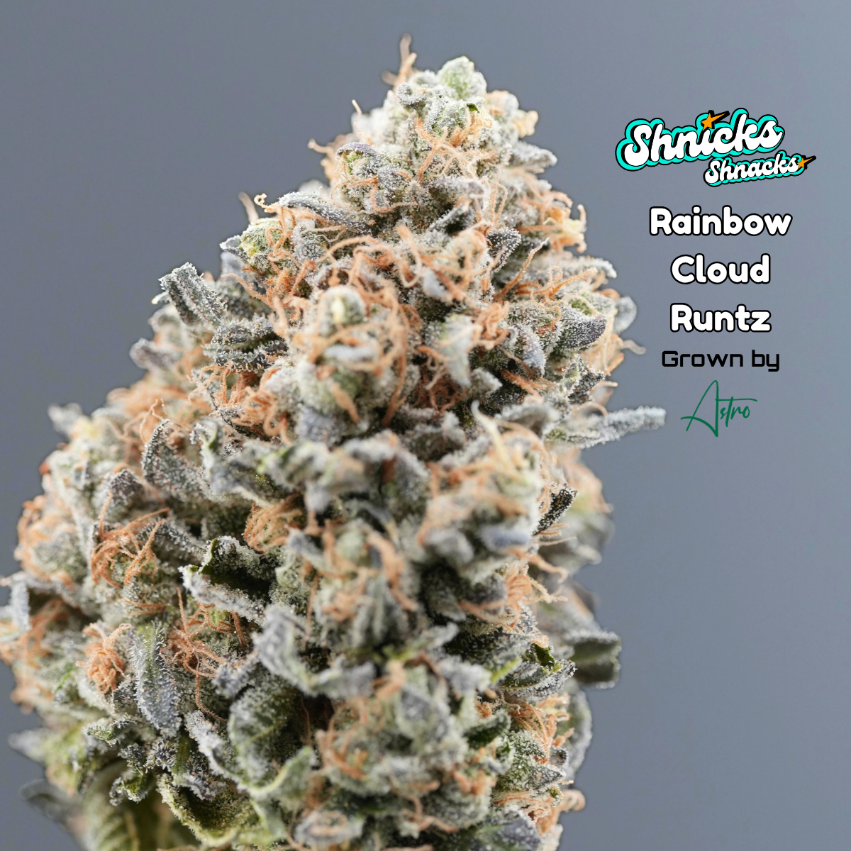 Rainbow Cloud Runtz - 3.5g