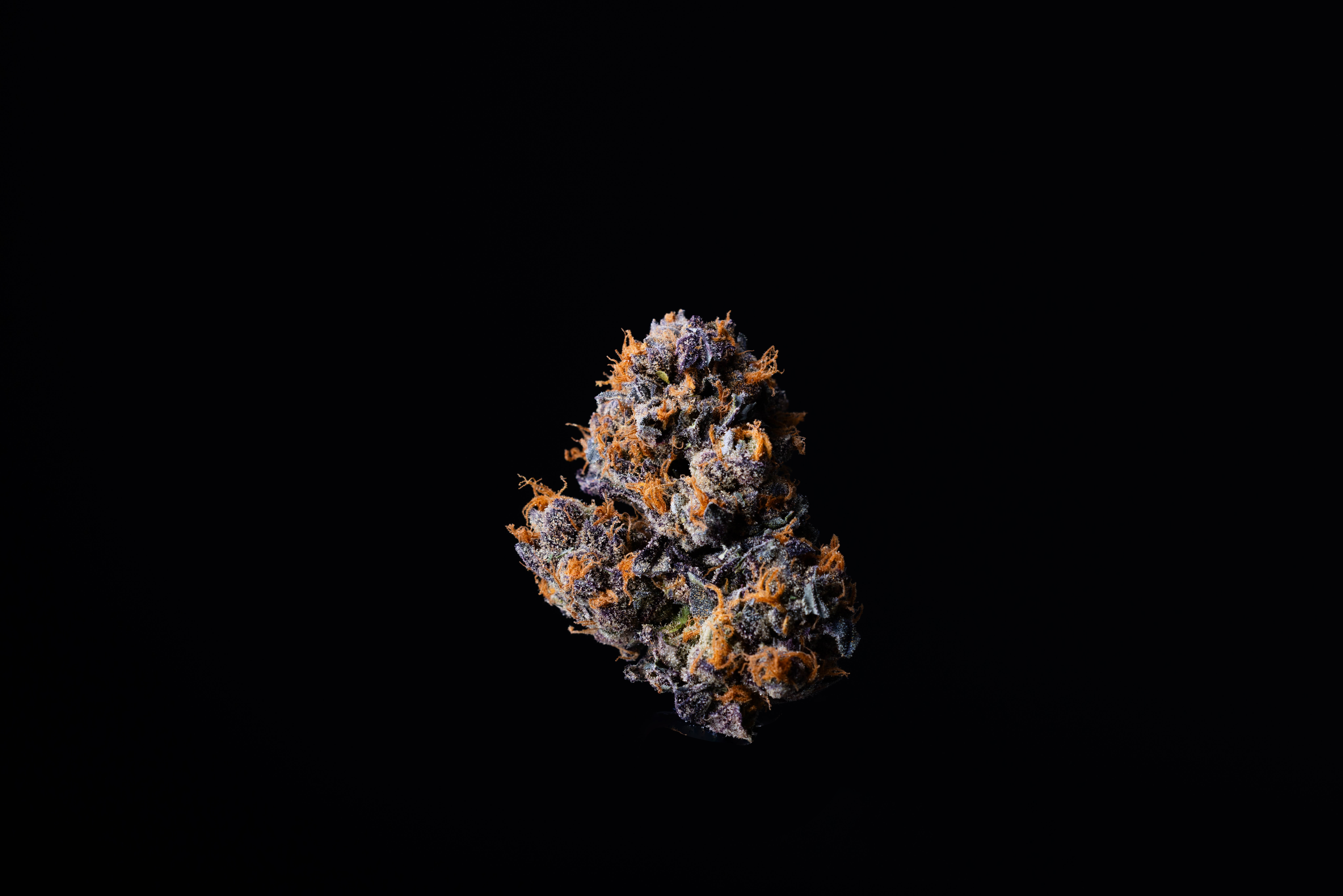 Rose Pop - 3.5g