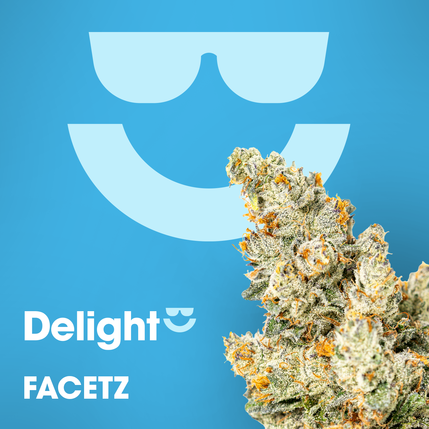 Facetz - 28g - Small Buds