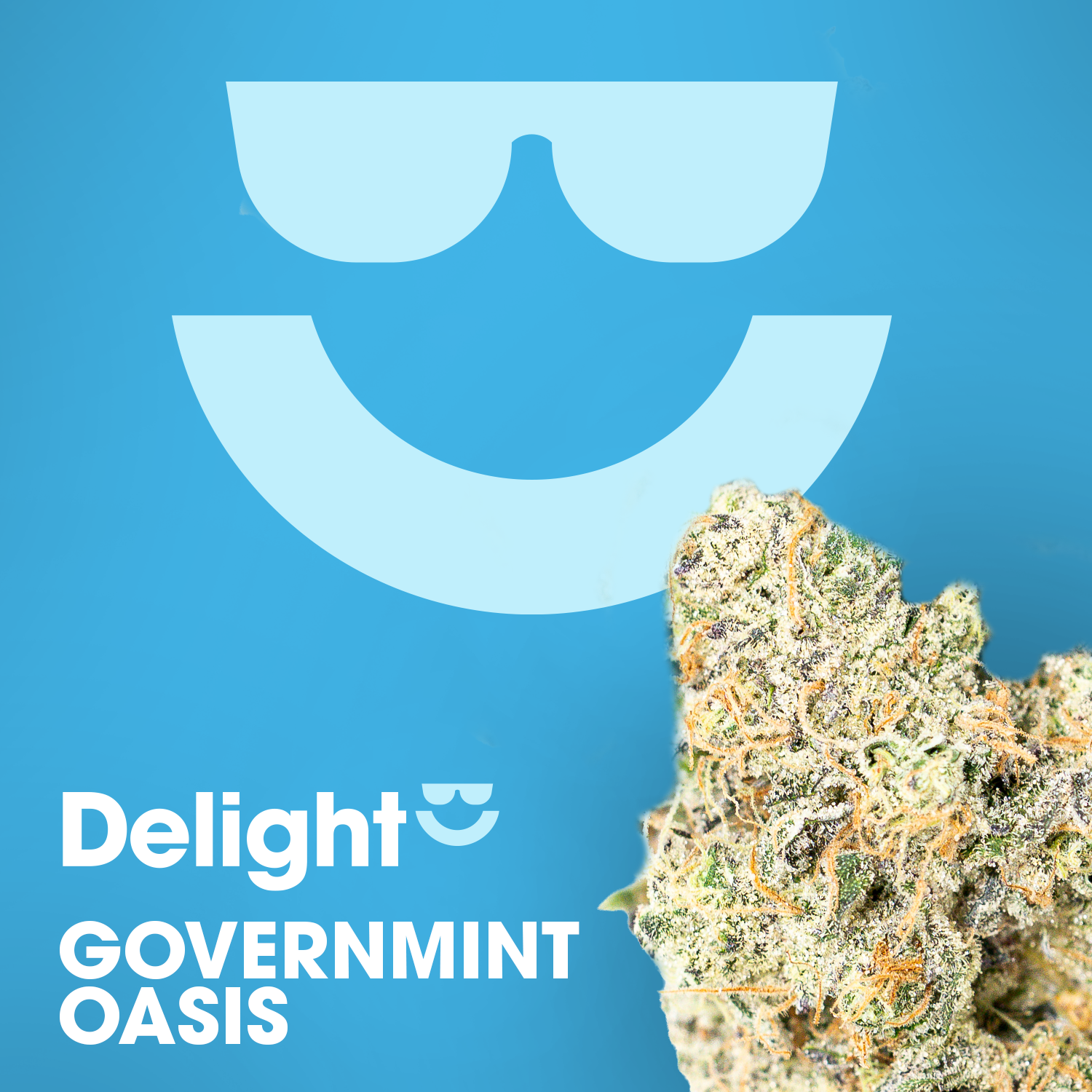 Governmint Oasis - 7g - Mixed Buds