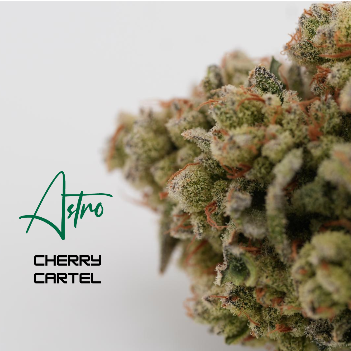 Cherry Cartel - 3.5g 