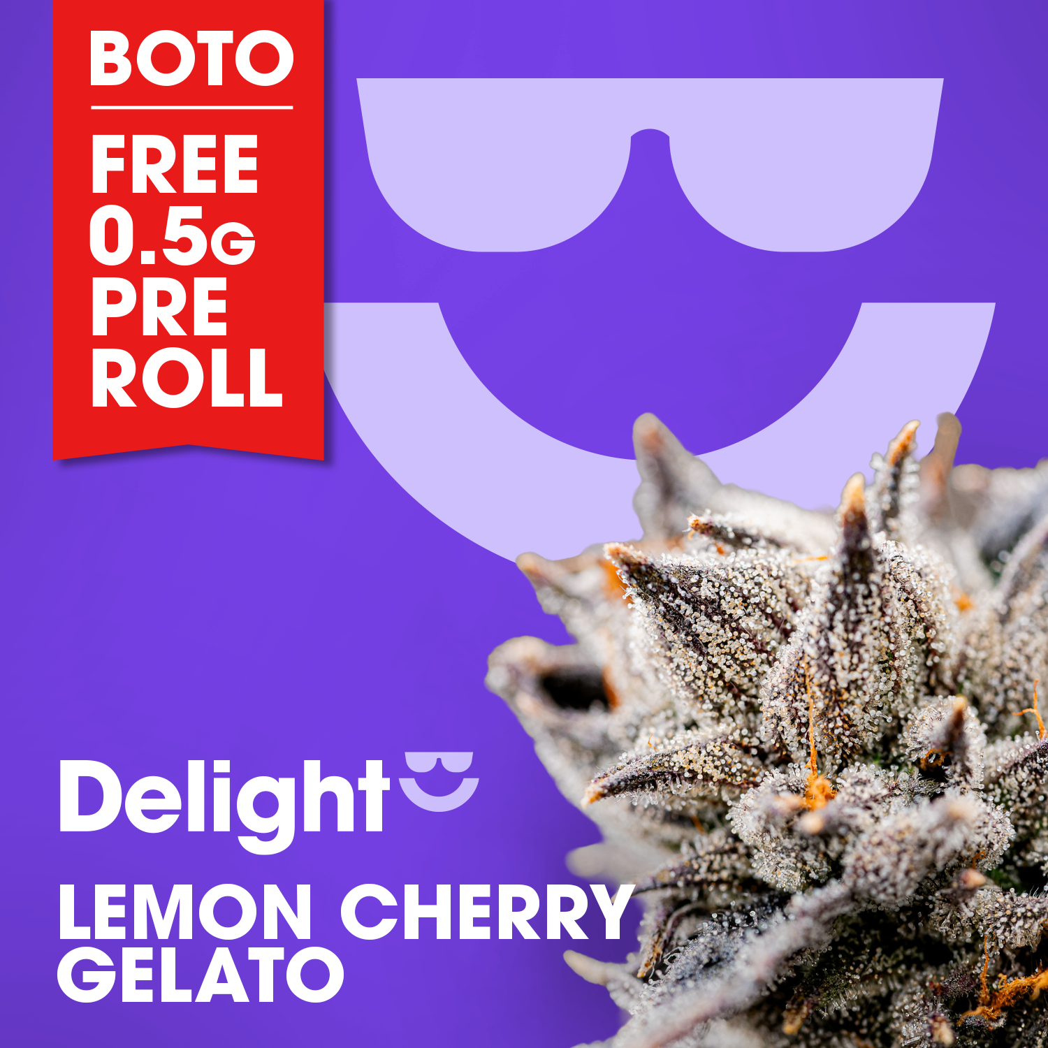 Lemon Cherry Gelato - 3.5g