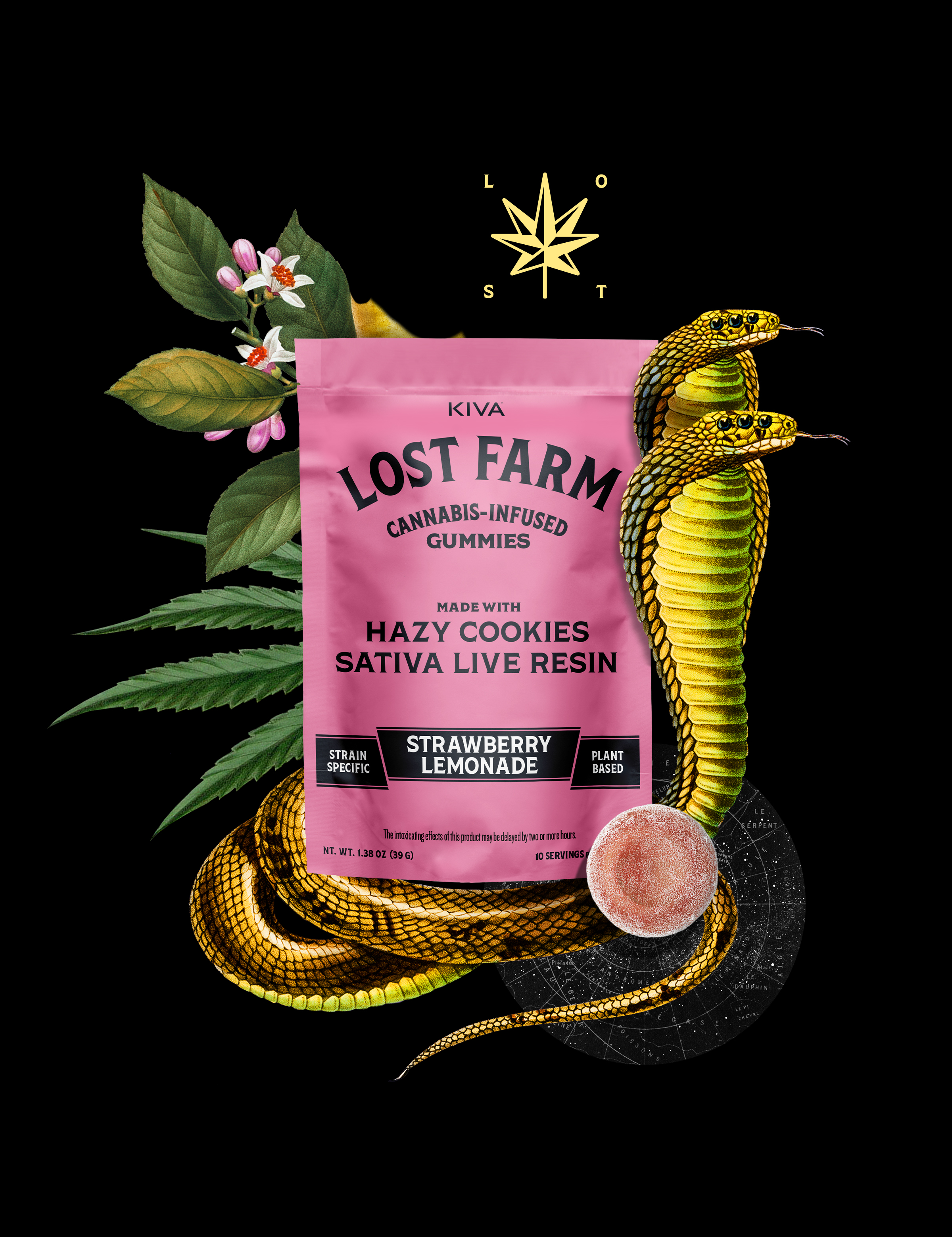 Strawberry Lemonade - Hazy Cookies Live Resin - 100mg 10pk
