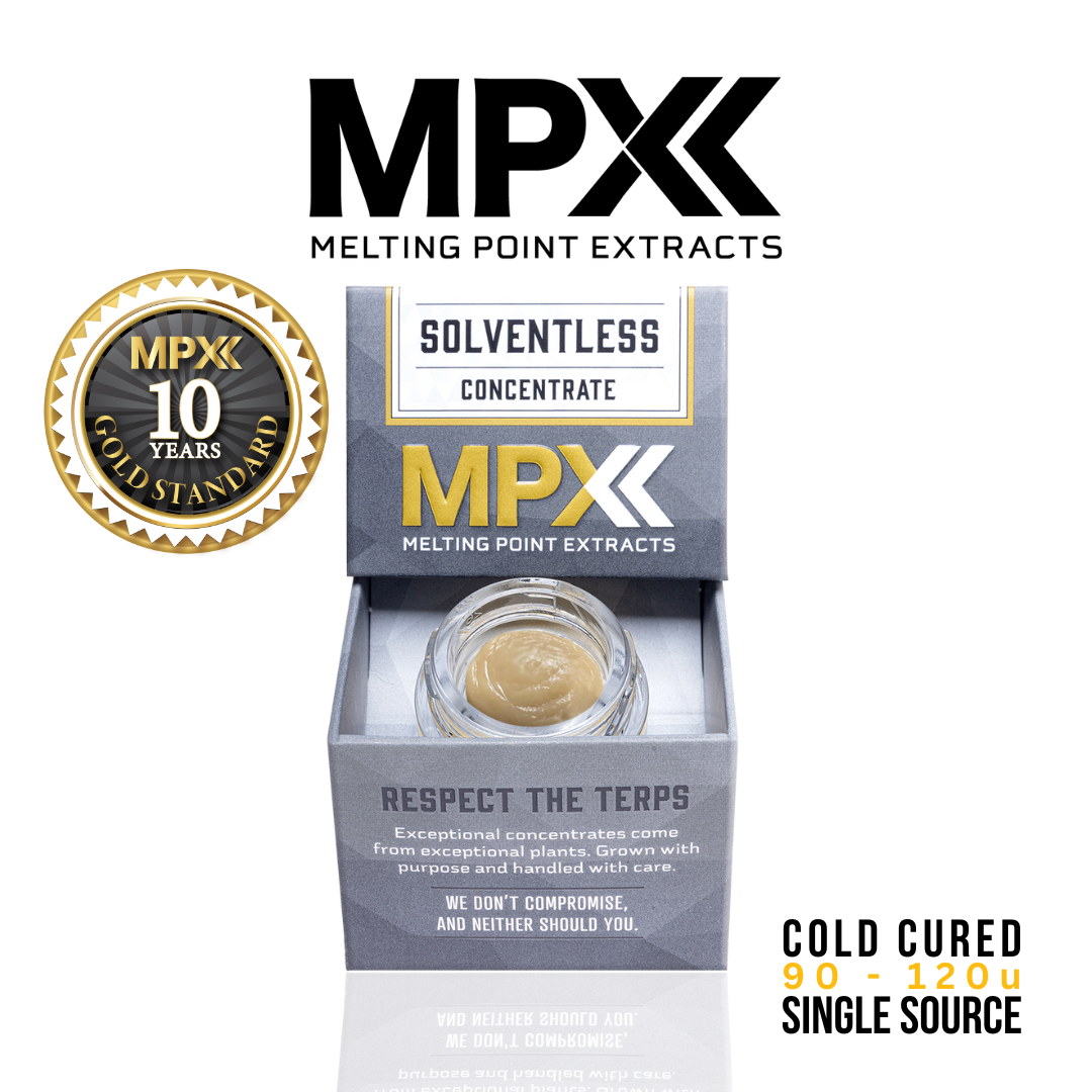 Sour Apricot - Live Rosin - 1g