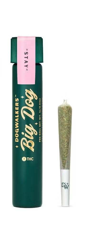 Runtz - 1g - 1pk