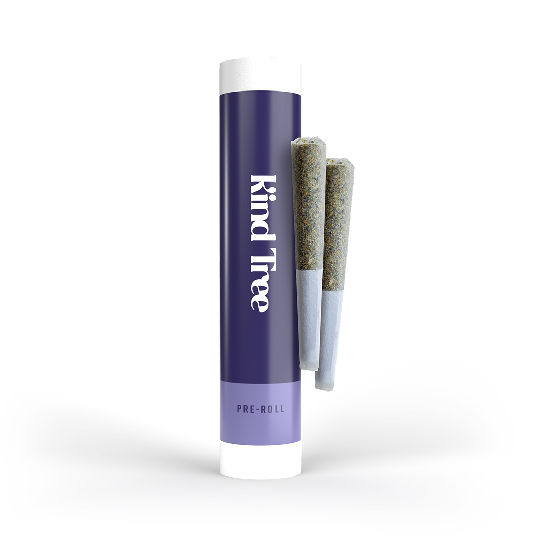 Banana Tree - 1g - 2pk