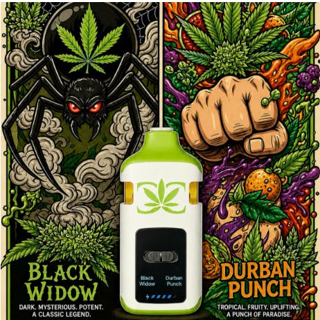 Black Widow & Durban Punch 3-n-1 - Liquid Diamonds - 2g - Disposable