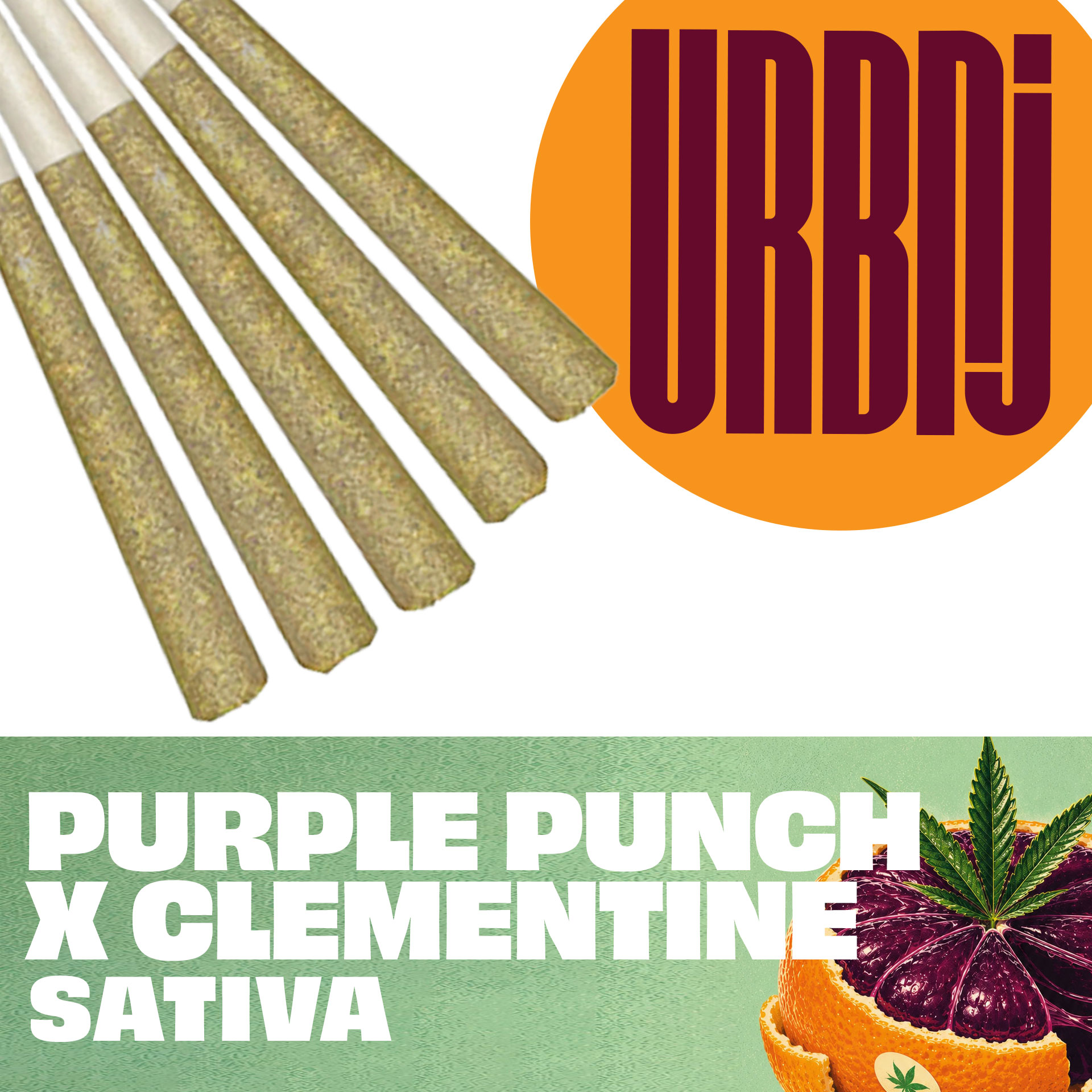 Purple Punch X Clementine - 5g 5pk