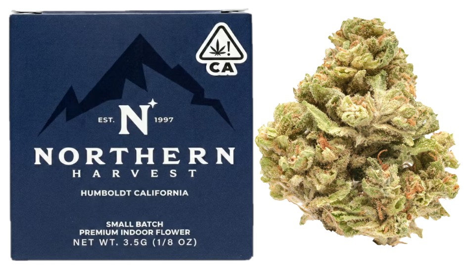 Northern Harvest — ACAPULCO GOLD -