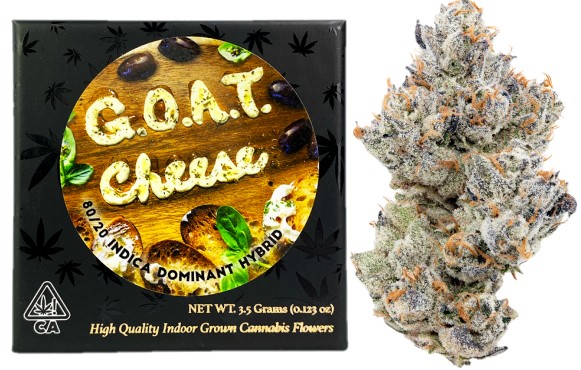 Team Elite Genetics: Goat Cheese