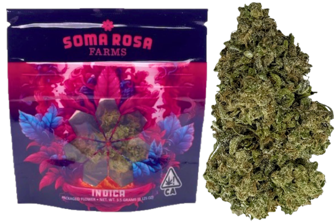 Soma Rosa — GOVERNMENT OASIS -