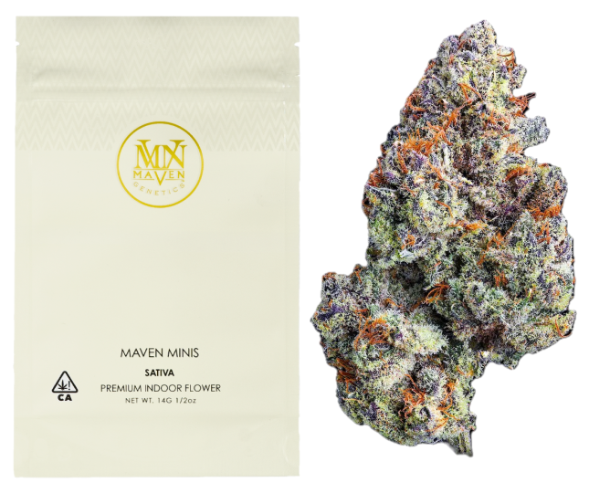 Maven Genetics — ZUZU BERRY -