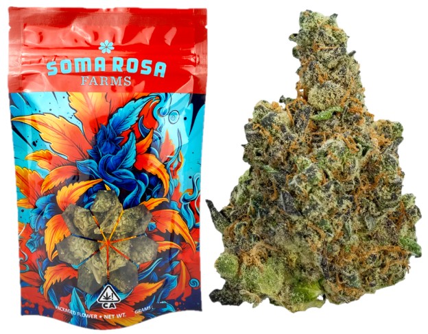 Soma Rosa — GOVERNMENT OASIS -