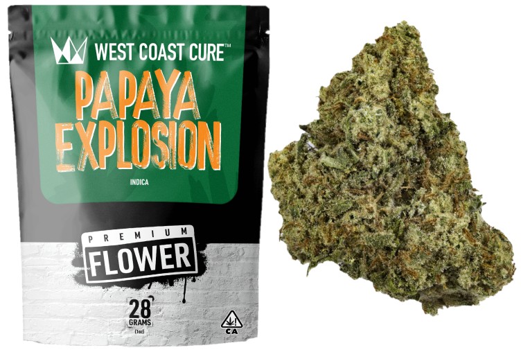 WCC: Papaya Explosion
