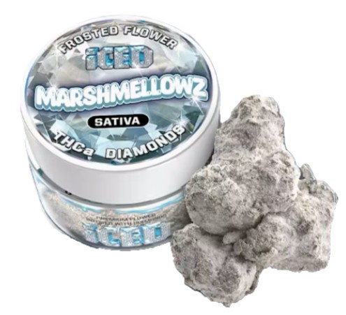 ICED — MARSHMELLOWZ - 3.5G INFUSED FLOWER