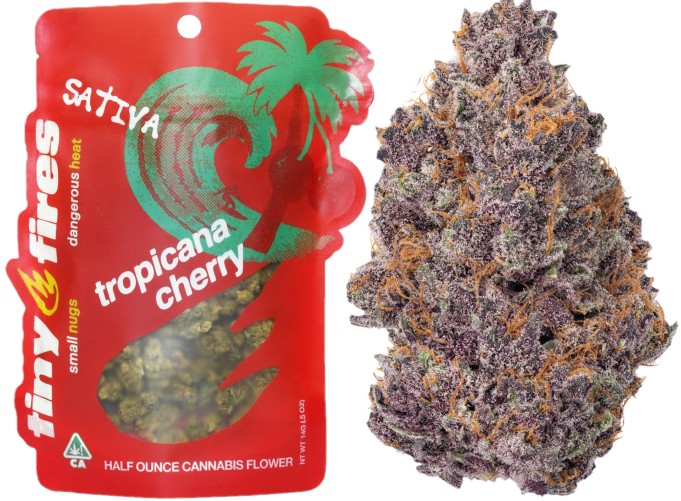 Tiny Fires: Tropicana Cherry