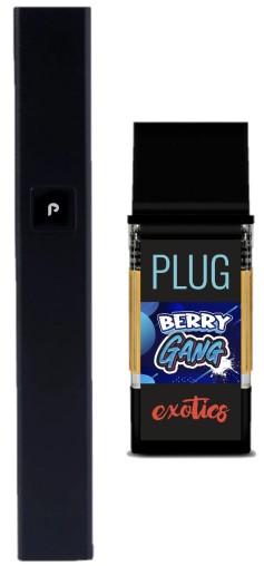 PLUGNPLAY — BERRY GANG - 1G ALL IN ONE VAPE