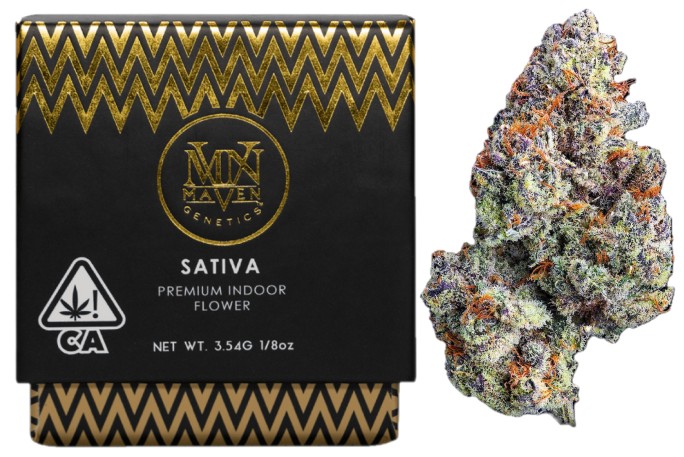 Maven Genetics — ZUZU BERRY -