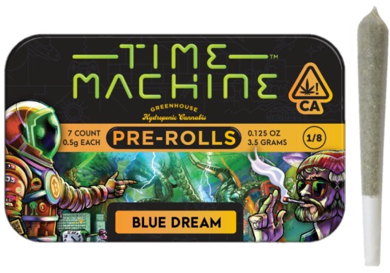 Time Machine: Blue Dream