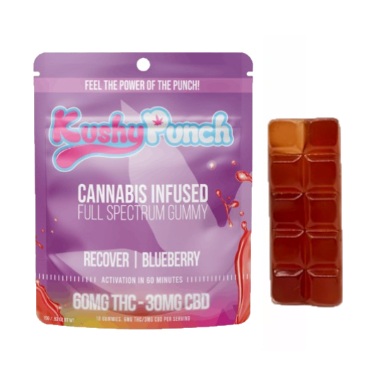Kushy Punch: Recover Blueberry