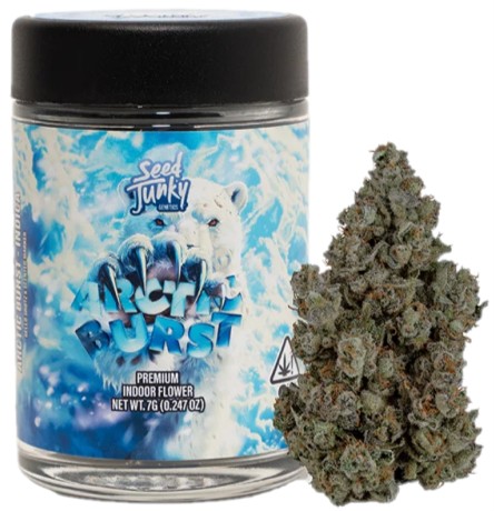 SEED JUNKY: Arctic Burst
