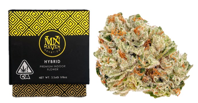 Maven Genetics — CHEM 51 -