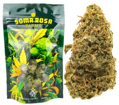 Soma Rosa — DUTCH TREAT -
