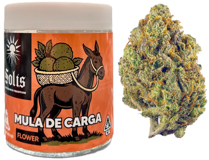 Solis — MULA DE CARGA -
